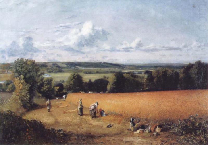 The wheatfield, John Constable